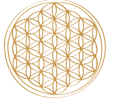 flower of life icoon - materialen organite - amara aurora
